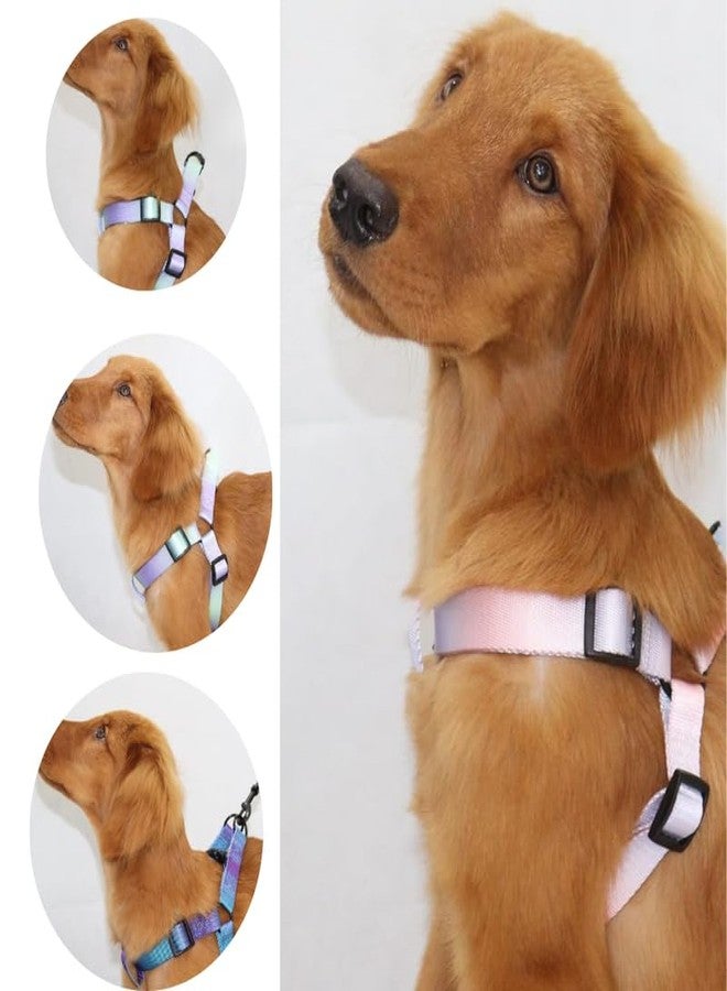 KittuPet حزام صدر للكلاب من KittuPet، بلون موحد متدرج الألوان، مناسب للتدريب والمشي، متوفر باللونين الأزرق المخضر والأخضر والأبيض، مقاس 15 مم، قطعة واحدة. - Image 3